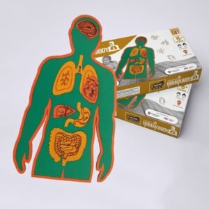 Human Anatomy Learning Game